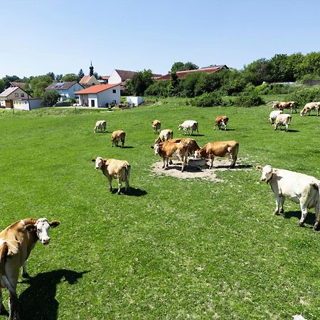 Wo Sich Kuh, Fuchs Und Hase Gute Nacht Sagen Apartamento Wolfsegg Exterior foto